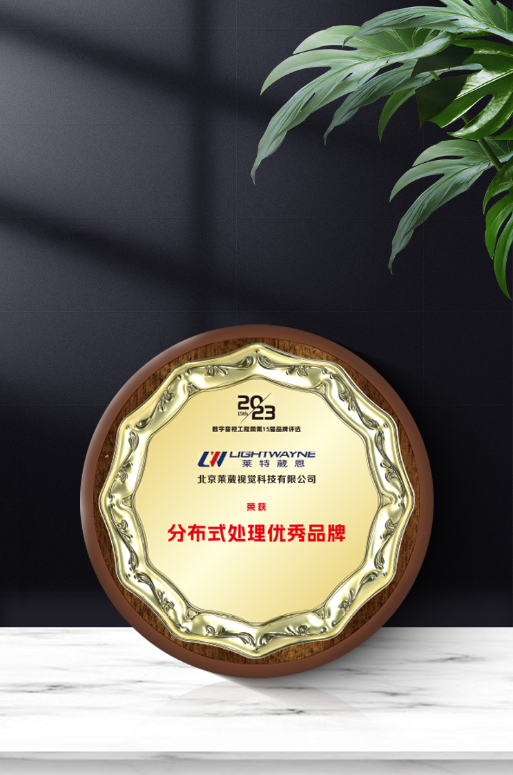 萊特葳恩（Lightwayne）榮獲“2023年度分布式處理器優(yōu)秀品牌”